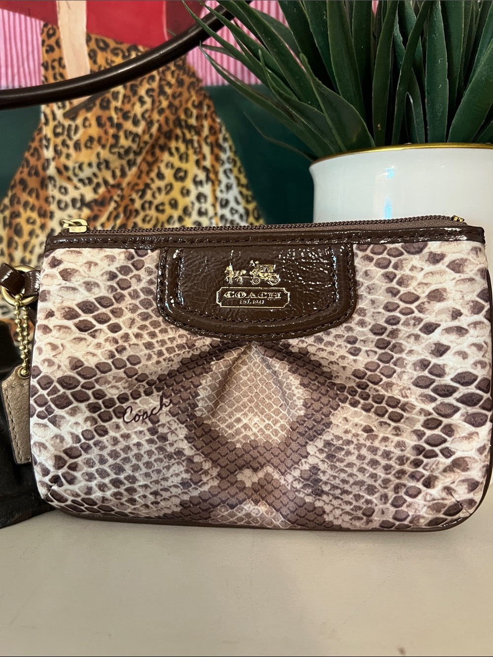 Coach Brown and Cream Snake-Print Zip Wristlet